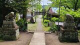 山崎の御霊神社の参道と鳥居