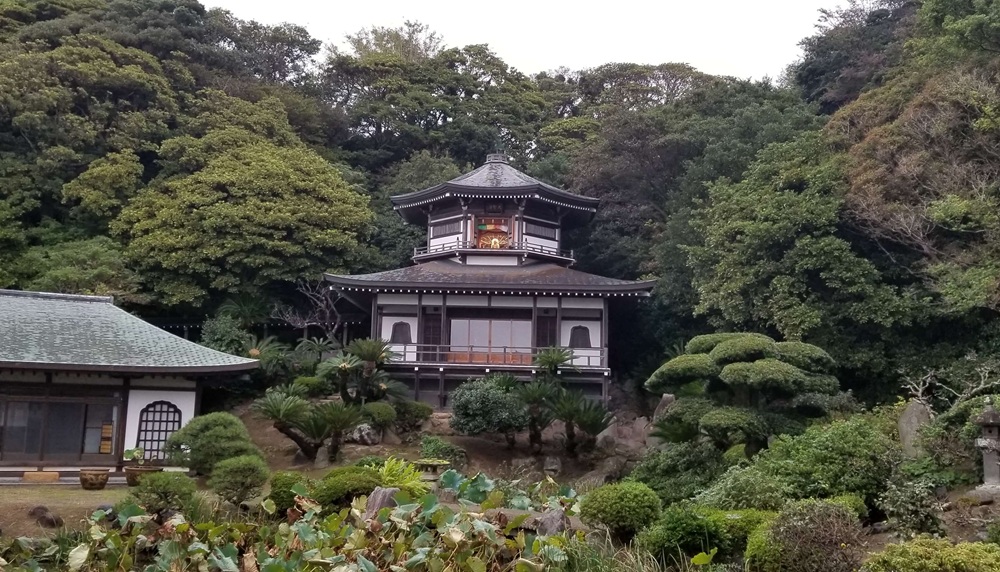 光明寺の大聖閣と手前にあるはす池　記主庭園の様子