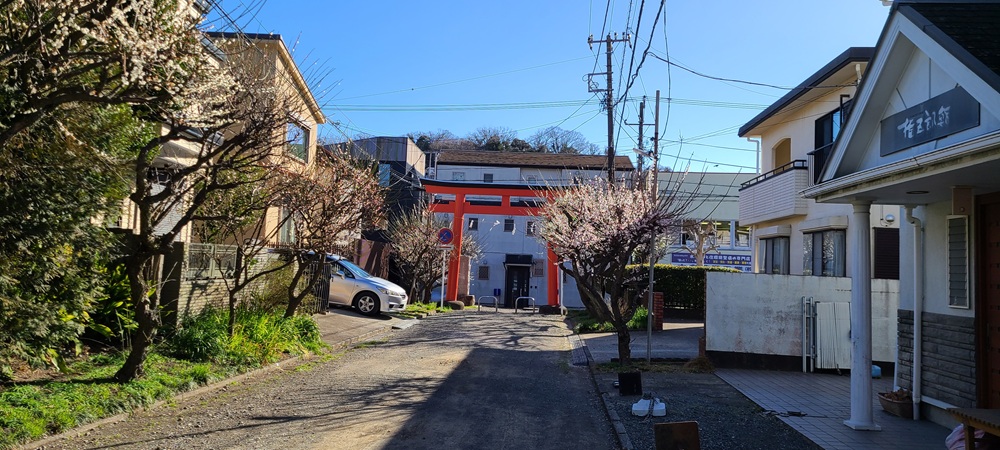 鳥居の奥が県道204号、ここが1の鳥居