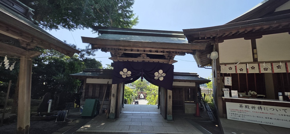 境内から振り返って見た門