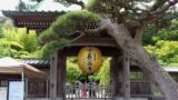 長谷寺山門と黄色い提灯