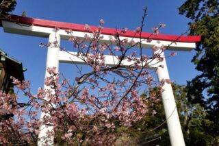 春（3月~5月）