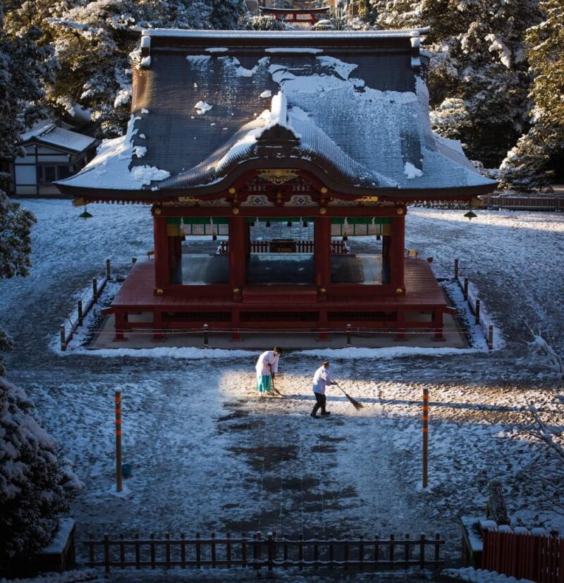 冬
