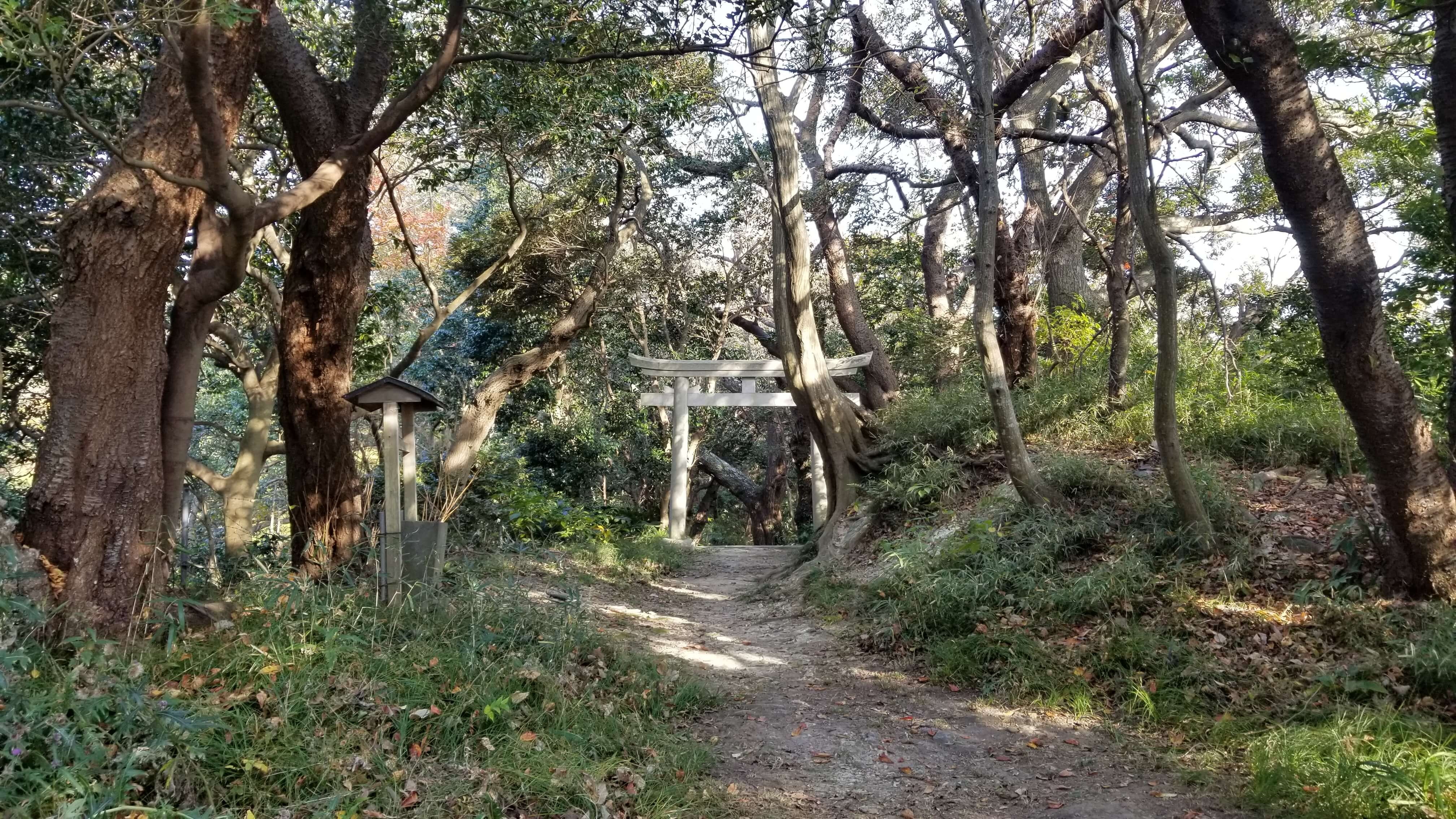 秋葉大権現の鳥居と木々