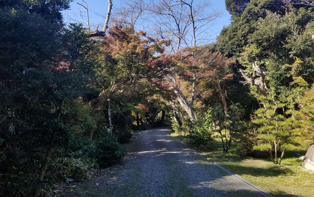 旧山本条太郎別荘の邸宅へと向かう砂利道のきれいな道