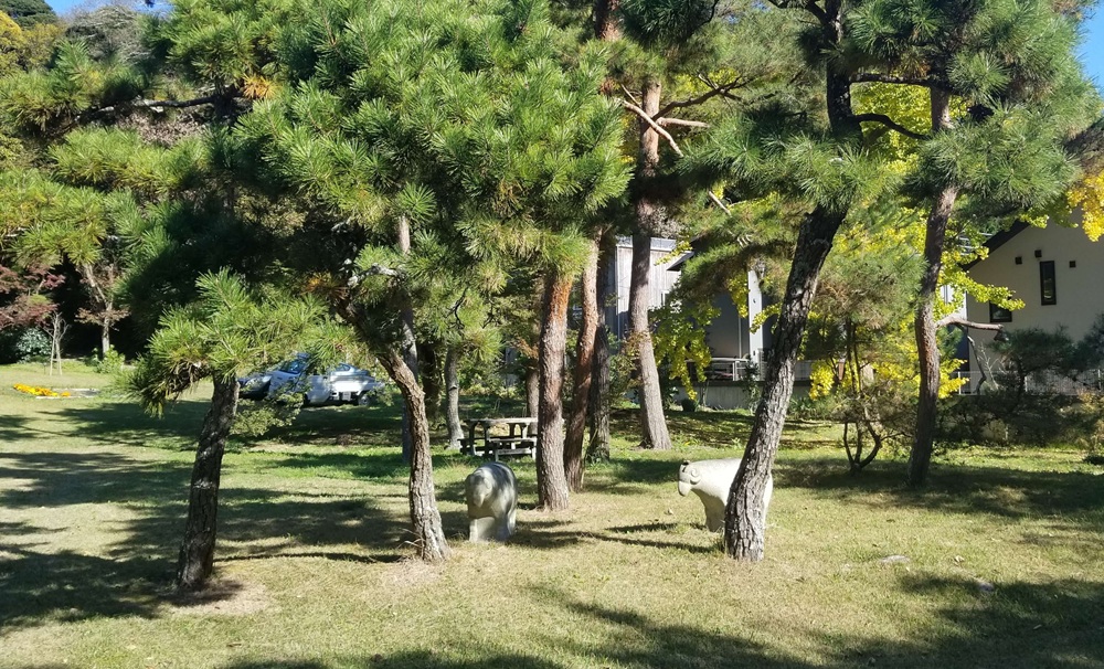 旧山本条太郎別荘の邸宅へと向かうときの見る手入れの行き届いた庭と木々
