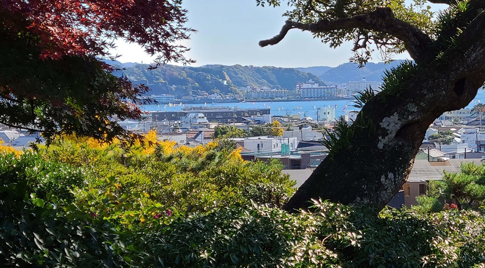 旧山本条太郎邸の庭から見た由比ガ浜