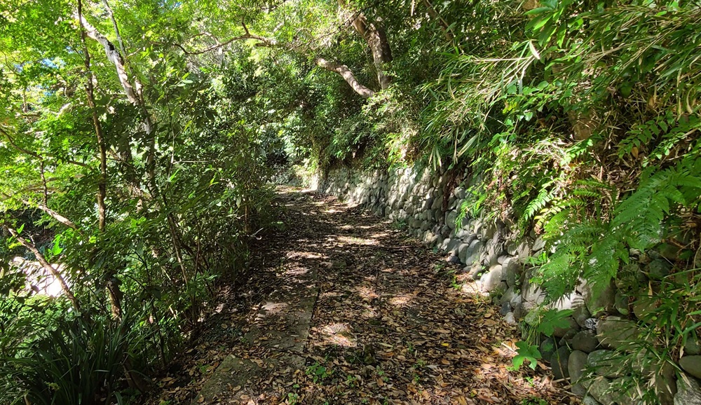 旧山本条太郎別荘の奥の部屋の出口から最初の門に続く土の道　両側の木々が美しい