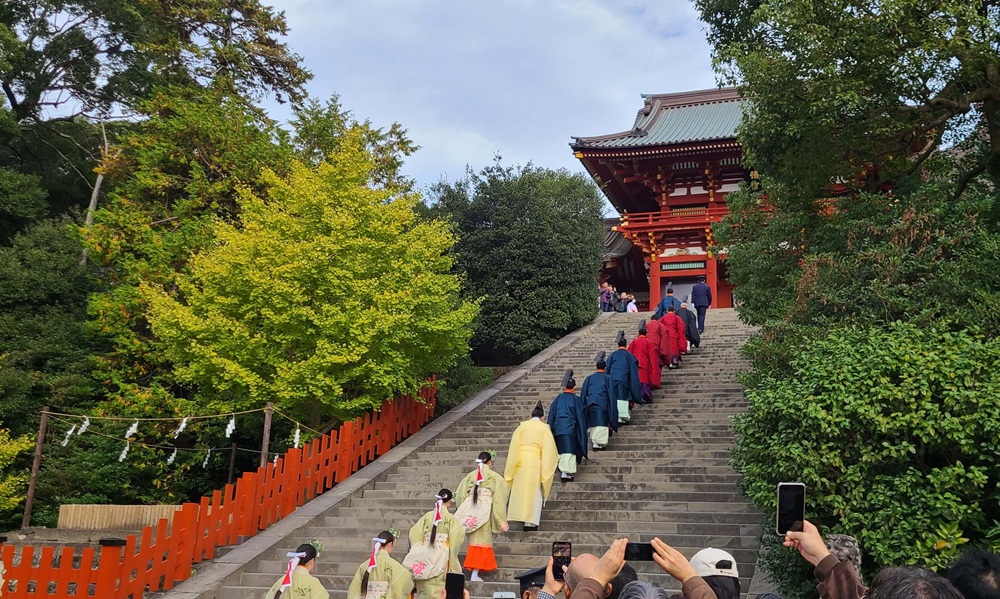 鶴岡八幡宮　新嘗祭　神職とその後ろに続く巫女たちが本宮に向かう60段の階段を登っている様子