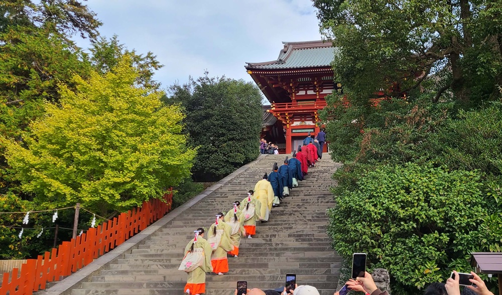 鶴岡八幡宮　新嘗祭　神職とその後ろに続く巫女たちが本宮に向かう60段の階段を登っている様子