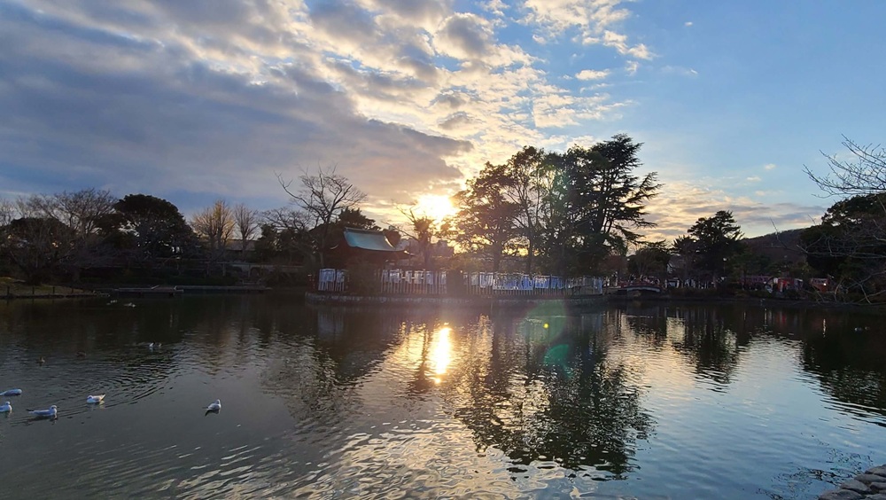 鶴岡八幡宮　源氏池と夕日の風景