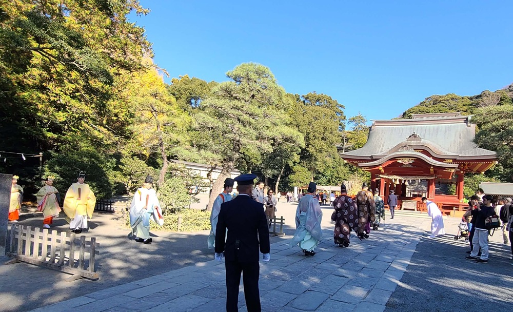 鶴岡八幡宮地久祭　遙拝所から本宮へ向かう神職たち