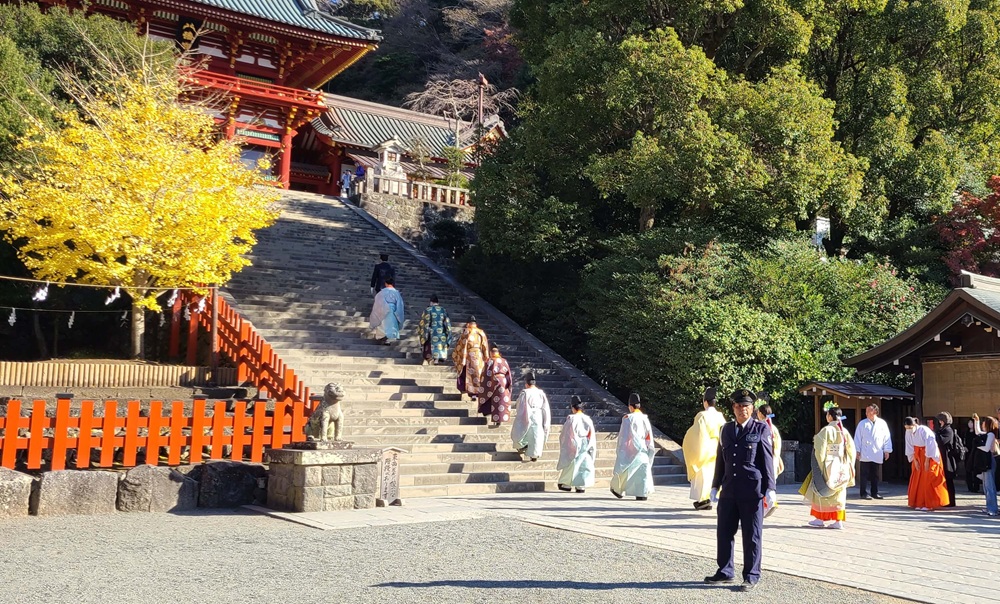鶴岡八幡宮地久祭　本宮へ向かう神職たちが階段を登る