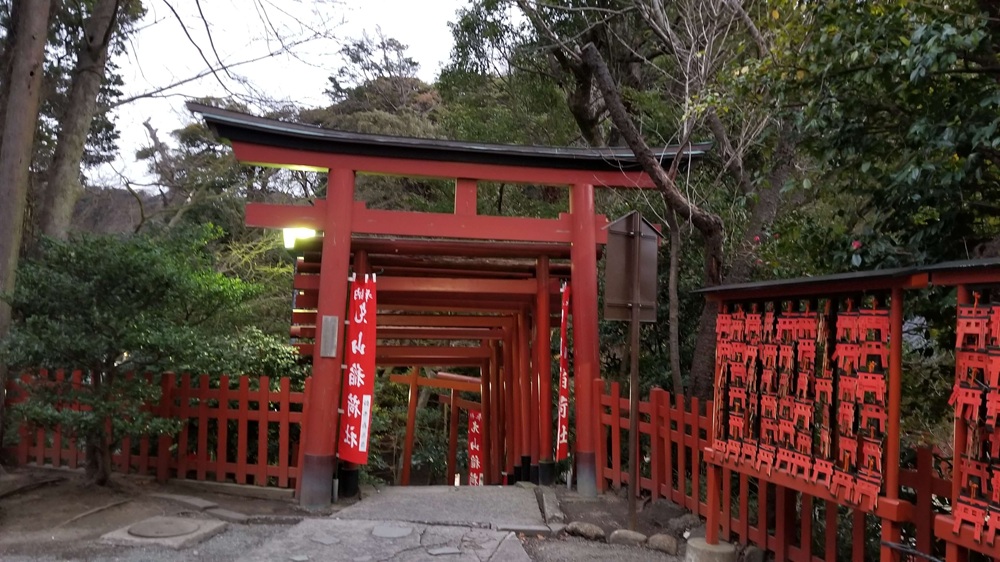 鶴岡八幡宮　丸山稲荷社の鳥居の元旦の様子