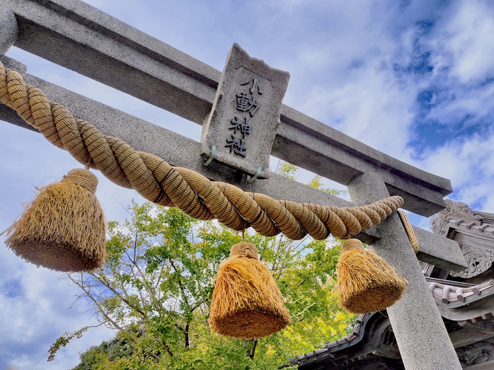 小動神社　鳥居と注連縄のアップ