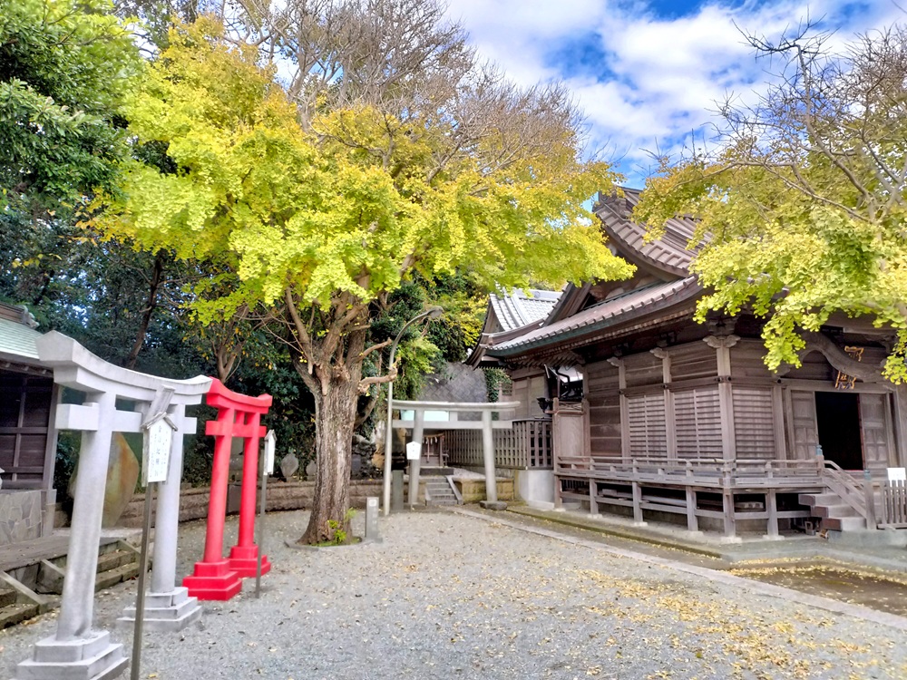小動神社　境内の鳥居と本殿