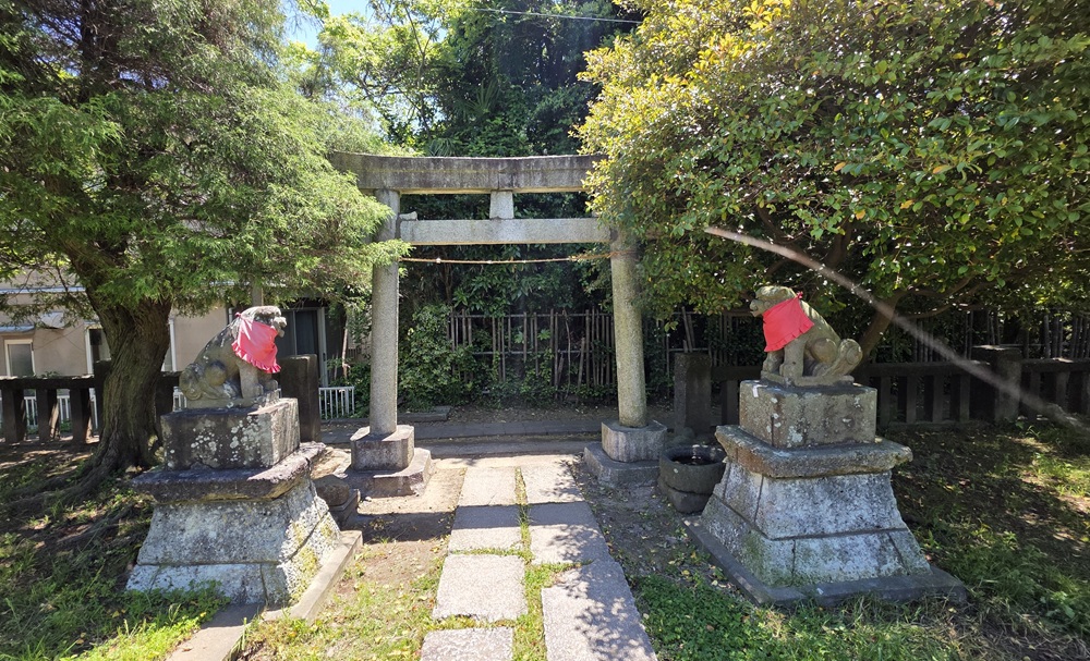 小袋谷　厳島神社　鳥居と狛犬