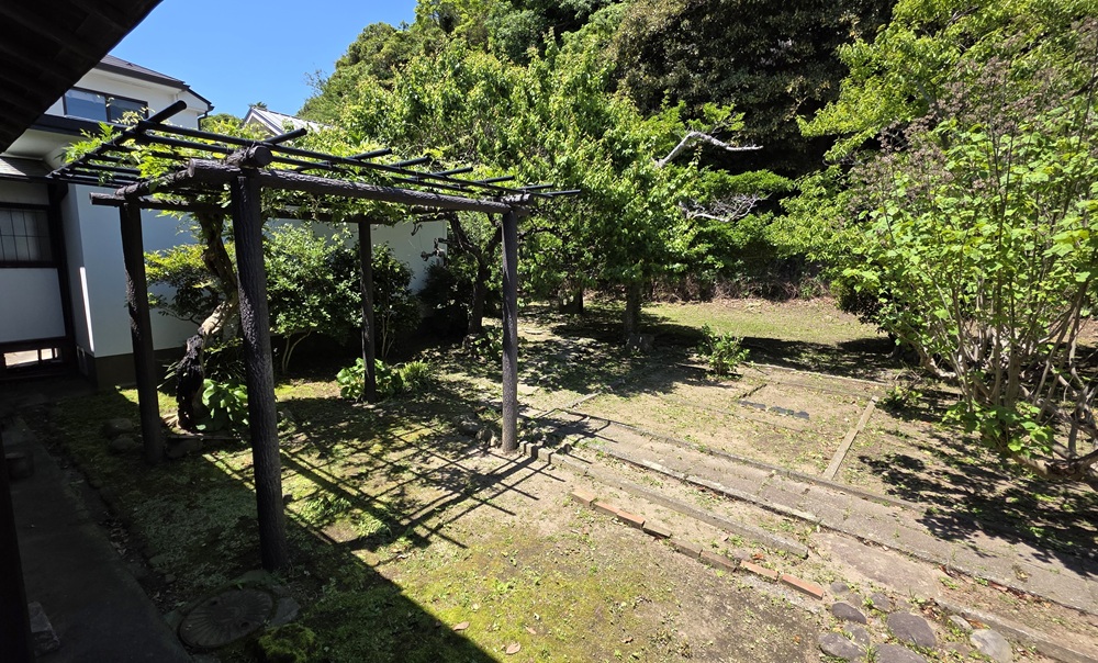 書斎から見る庭