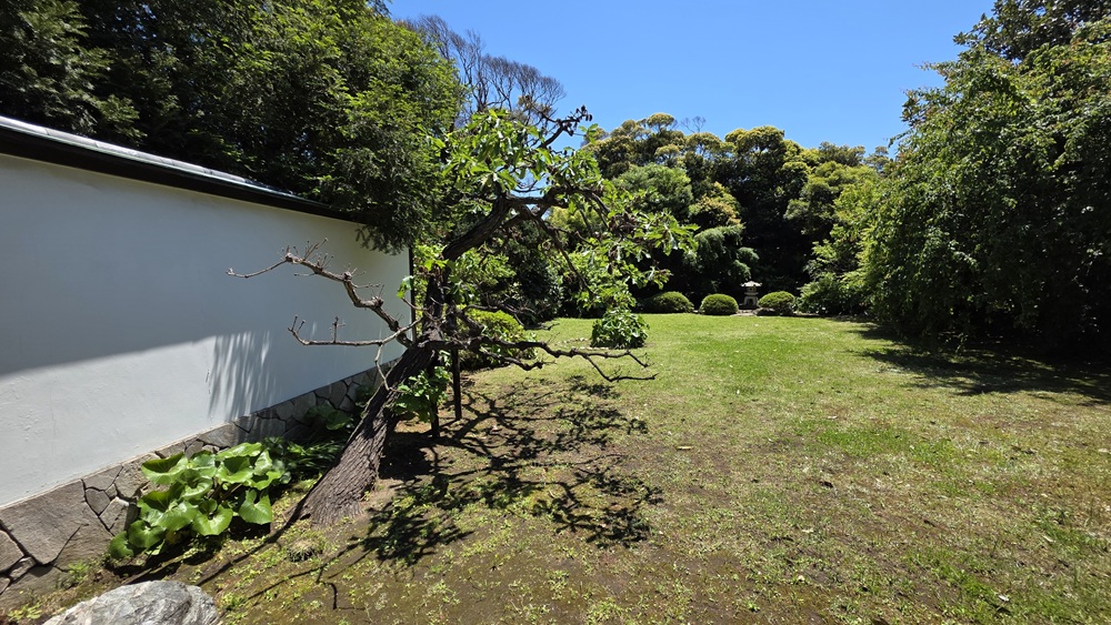 応接室からの眺め