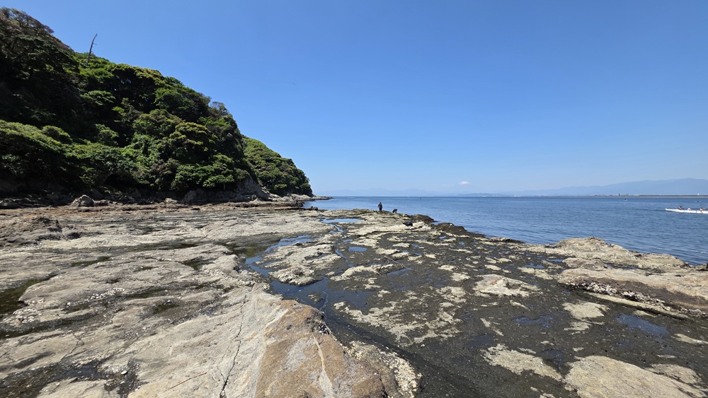 江の島 海岸