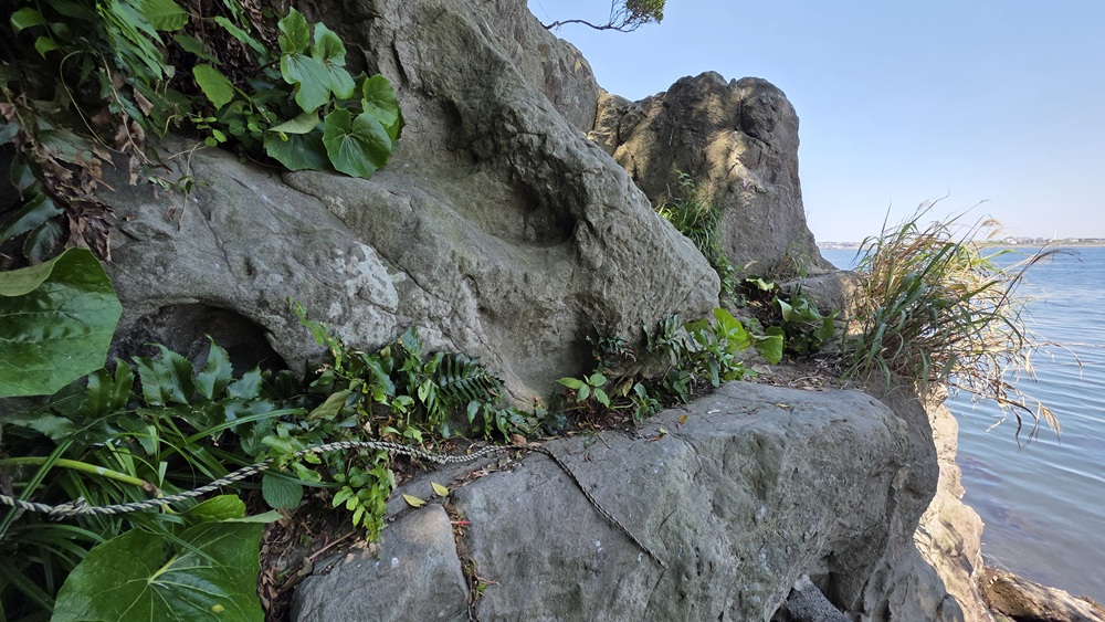 江の島 海岸沿いの岩場とロープ