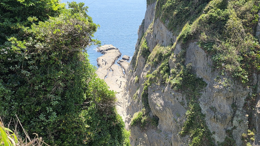 江の島から見た海岸沿い 昼