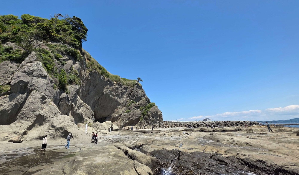 江の島海岸