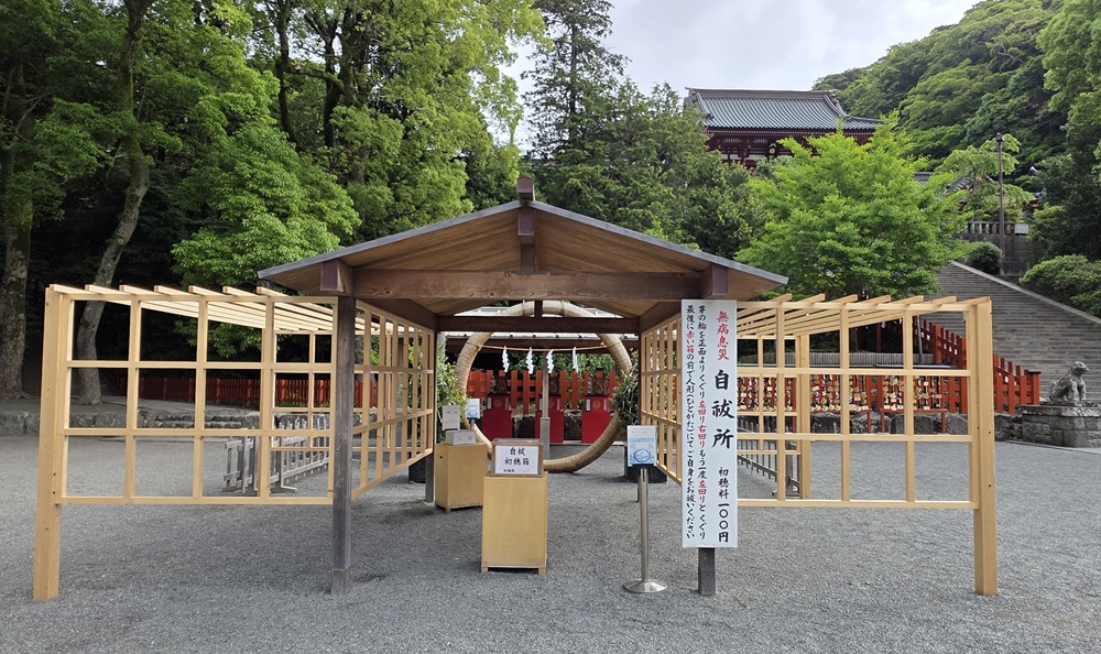 鶴岡八幡宮 普段の茅の輪