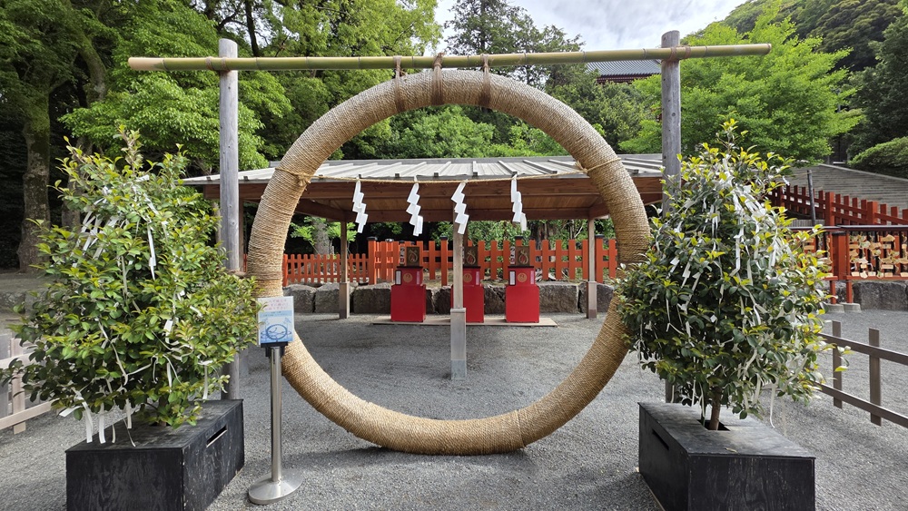 鶴岡八幡宮 普段の茅の輪のアップ
