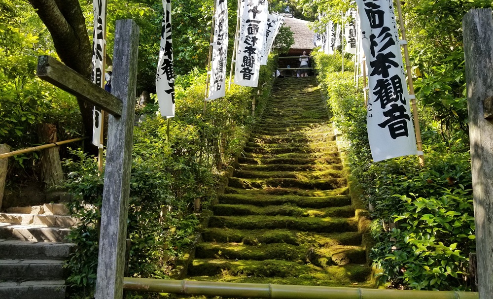杉本寺 苔階段 2019 下から