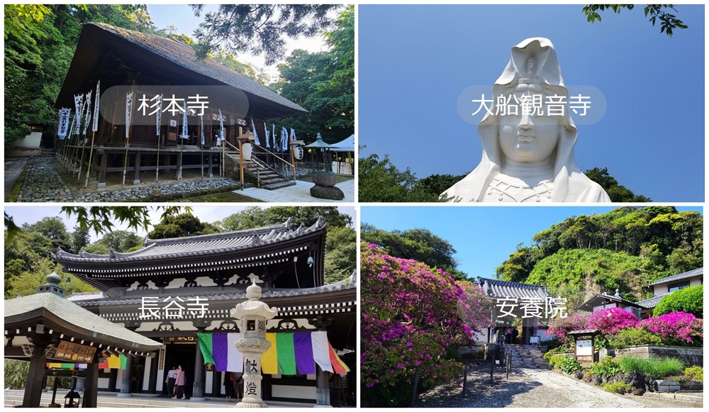 長谷寺　大船観音寺　安養院　杉本寺