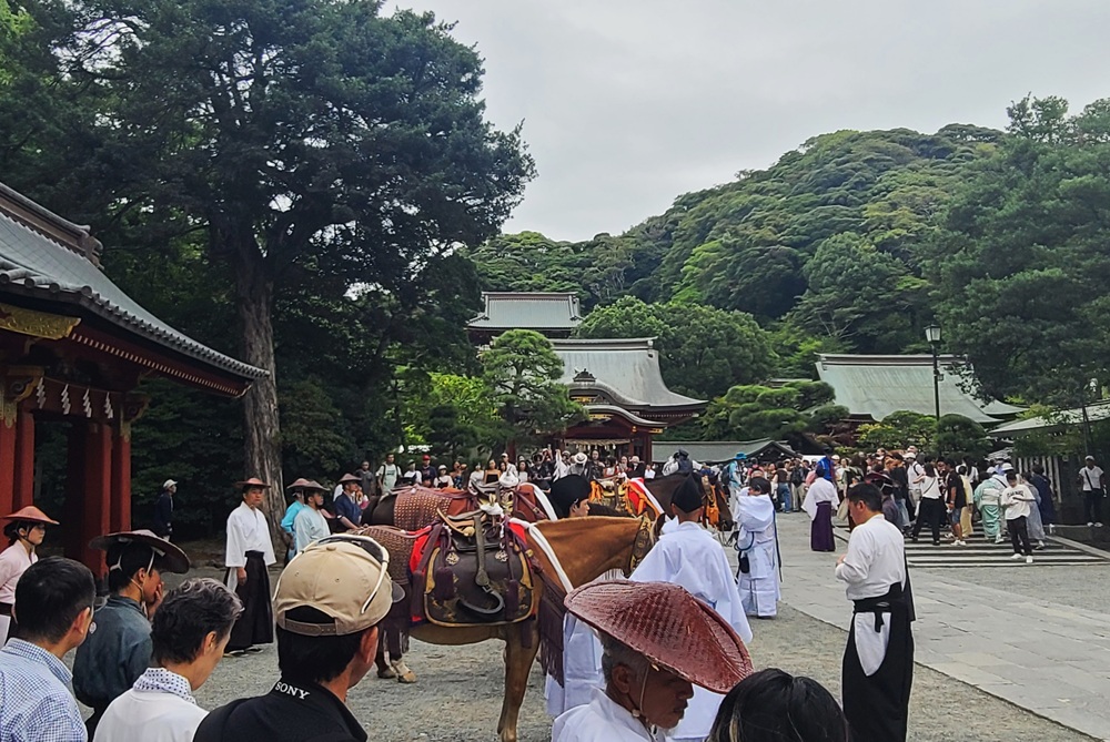 開始前の様子 馬