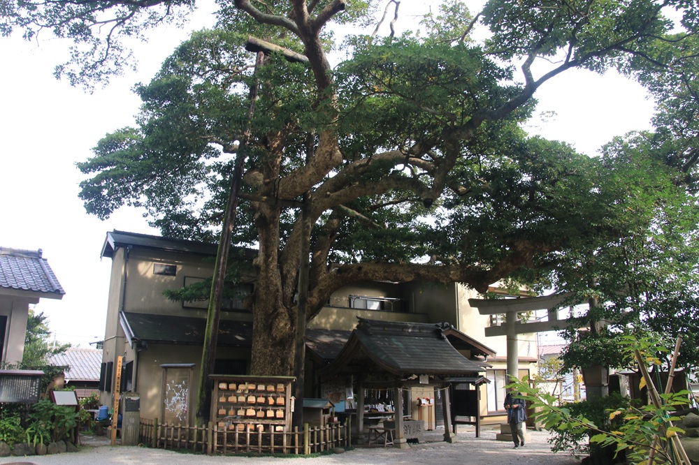 御霊神社