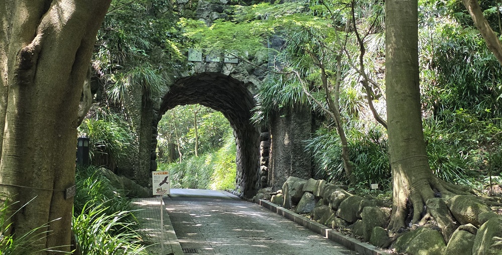 鎌倉文学館へ行く途中のトンネル