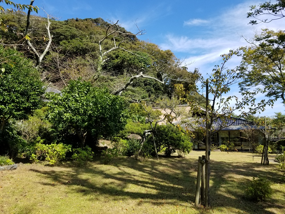 旧川喜多邸の庭と母屋の様子