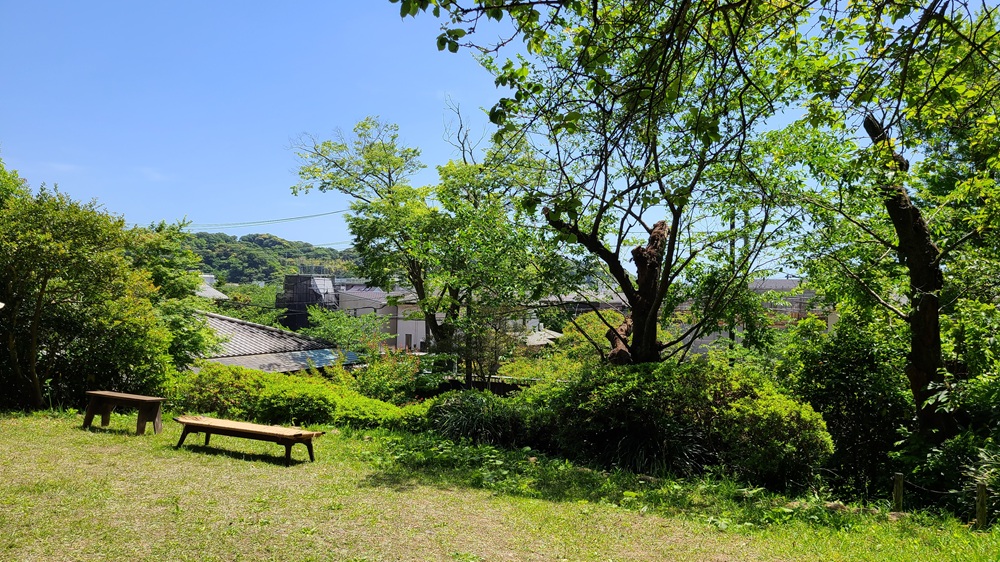 旧川喜多邸の庭を母屋側から見た景色
