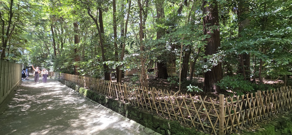 鶴岡八幡宮の祖霊社の道　右側が祖霊社