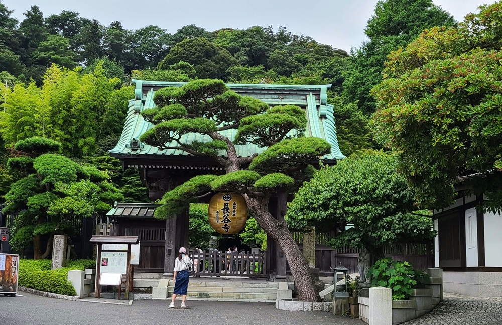 長谷寺の門(入る時は左手のチケット売り場から入ります)