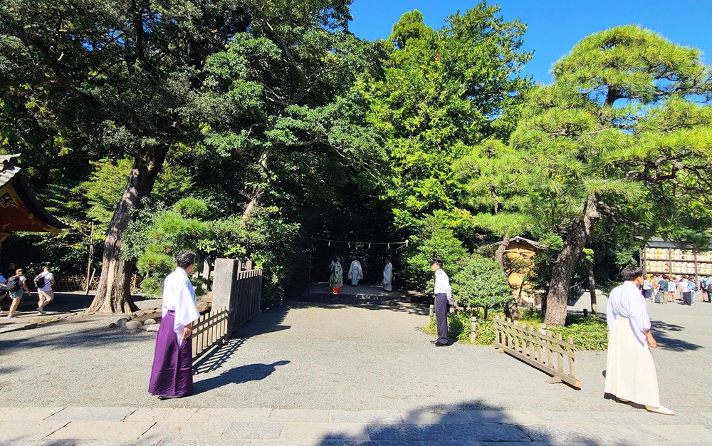 鶴岡八幡宮 禊所にてお清め 2025年10月17日 9時59分撮影