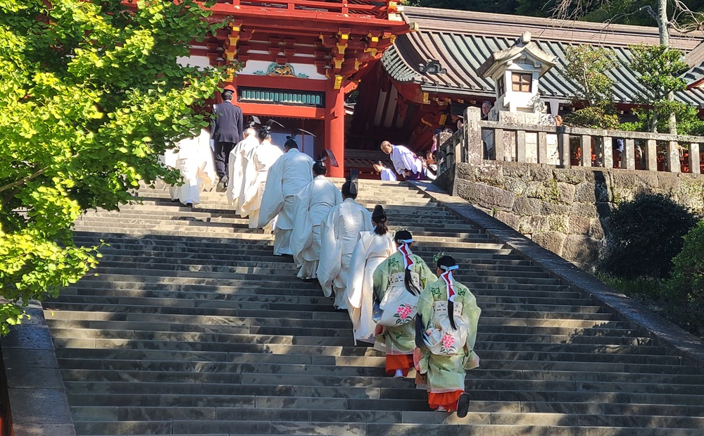 鶴岡八幡宮 明治祭鶴岡八幡宮の本殿への階段を登る神職たち