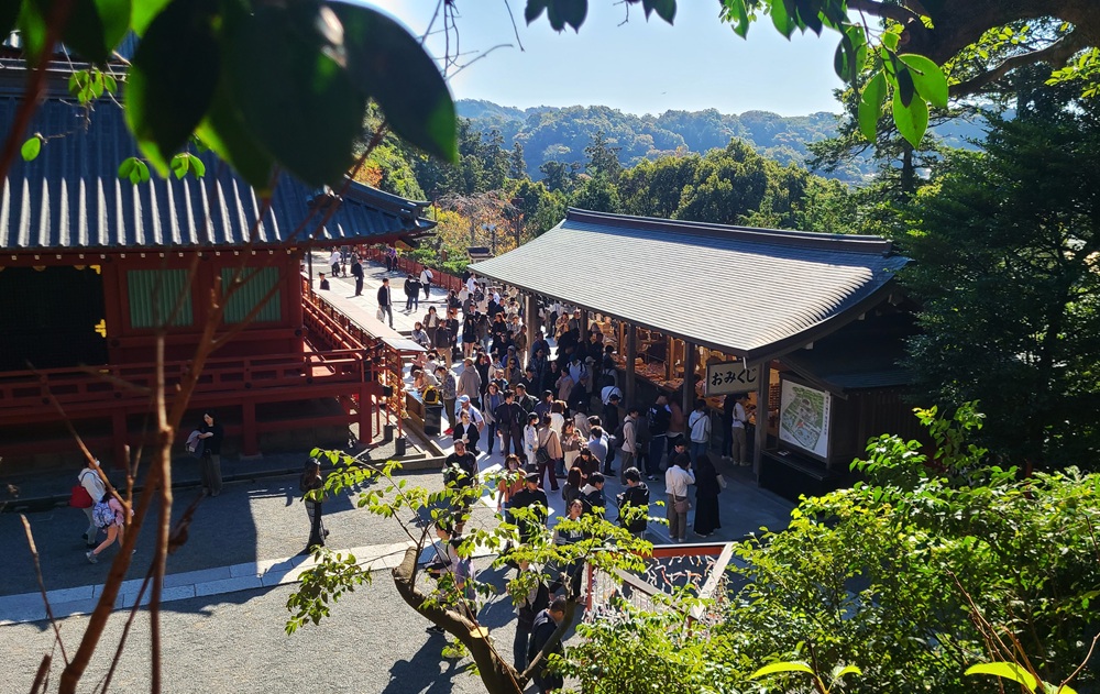 鶴岡八幡宮の丸山稲荷社から本殿を見る
