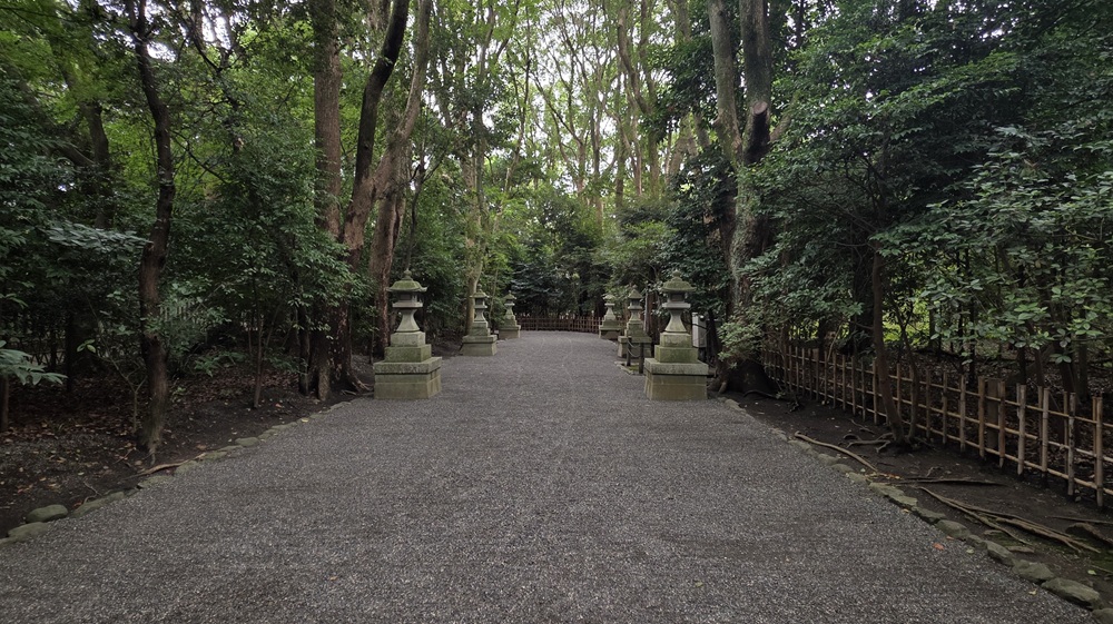 祖霊社から振り返って参道を見た様子