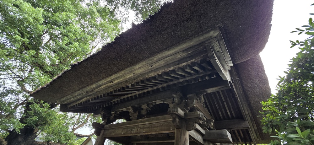 極楽寺山門を下から見上げた写真
