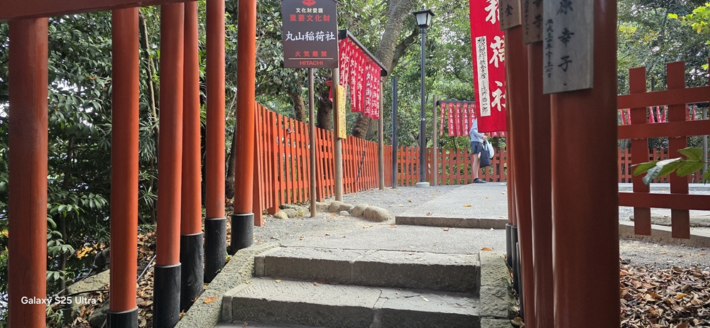鶴岡八幡宮丸山稲荷社の入り口