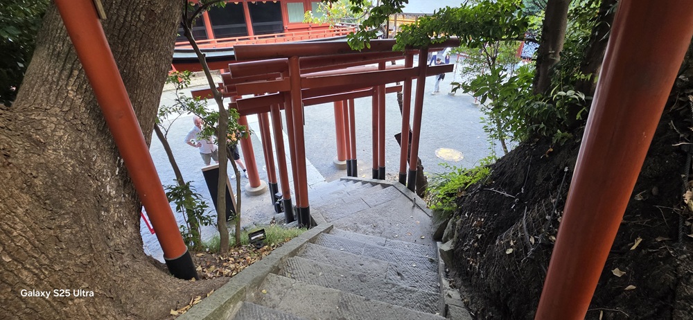 鶴岡八幡宮丸山稲荷社の階段