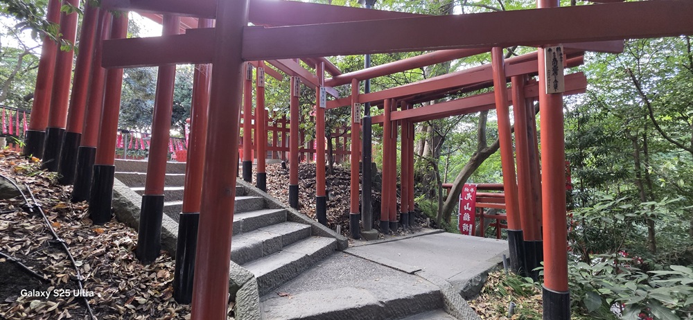 鶴岡八幡宮丸山稲荷社の階段